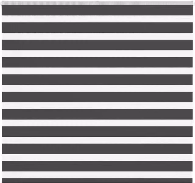 Berkfield Home Zebra Day and Night Blind in Black Polyester, W: 150.9 cm, H: 155 cm – 1