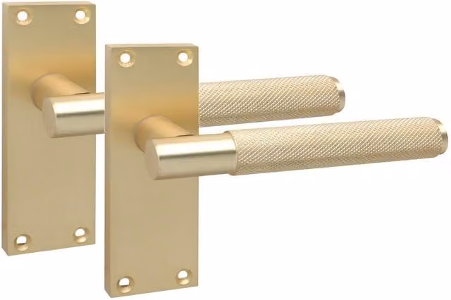 Golden Grace Brass Door Handle in Black and Gold