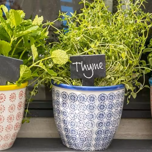 Nicola Spring Floral Ceramic Tabletop Plant Pots, Blue and Orange, Pack of 2, W/D/H: 14 x 14 x 12.5 cm – 2