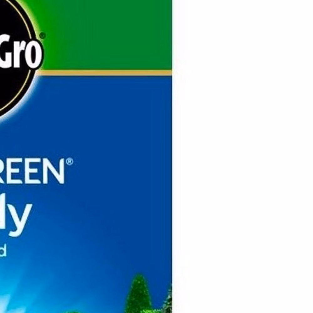 Miracle-Gro Shady Grass Seeds for Green Lawns – 2