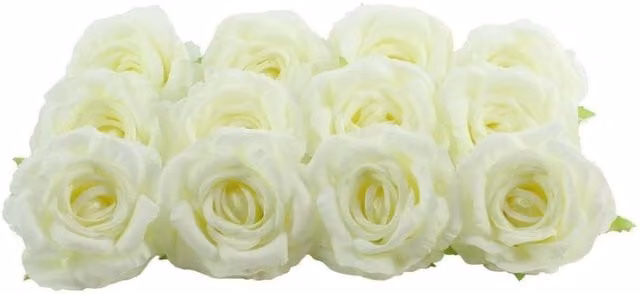 KDMD Artificial Arundel Rose Heads in Ivory, 12 Pack