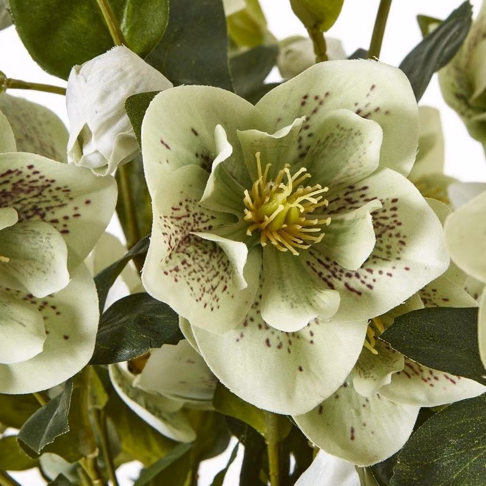 Lemon Pavilion Furniture and Decor Large Potted Hellebore in Green and Taupe, W52 x D52 x H85 cm – 5