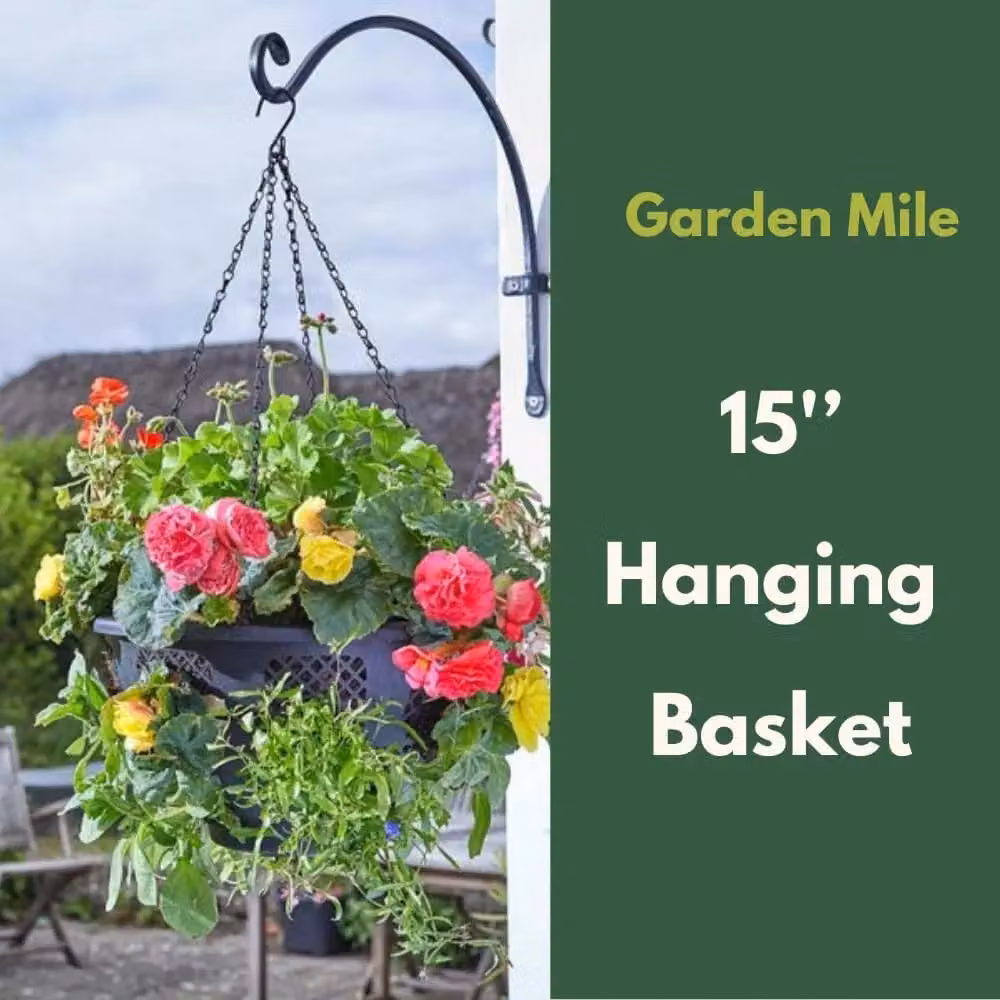 Marco Paul Black Plastic Hanging Basket Planter with Integrated Cut Out Sections, Diameter: 38.1 cm – 4
