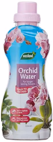 Westland Orchid Plant Feed Ready To Use Liquid, 720 ml – 1