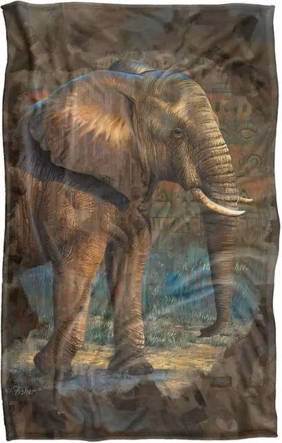 JQ Licensing Elephant Silky Touch Super Soft Fleece Throw Blanket, Multicolour, W: 91 cm, D: 147 cm – 5