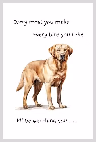 Animal Crackers Yellow Labrador Funny Watching You Cotton Tea Towel, White – 3