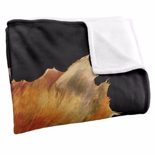 LOGOVISION Harry Potter Crookshanks Super Soft Fleece Throw Blanket, Multicolour, W: 152.4 cm x L: 127.0 cm – 2