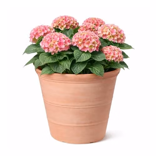Jack Stonehouse Rustic Terracotta Effect Round Planter in Brown and Orange, 47 cm Diameter, 41.5 l Capacity, Made from Recycled Plastic – 1