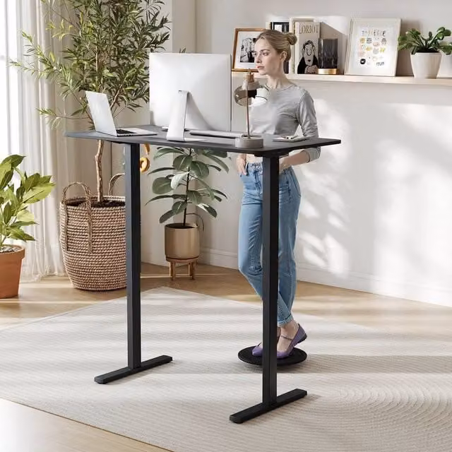 Costway Electric Height Adjustable Ergonomic Standing Computer Desk in Black, W/D: 120 x 60 cm