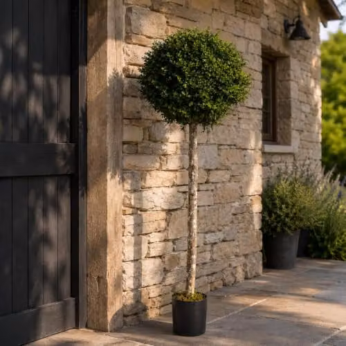 Leaf Design UK UV Protected Artificial Topiary Tree in Green, H 140 cm x W 50 cm x D 50 cm – 3