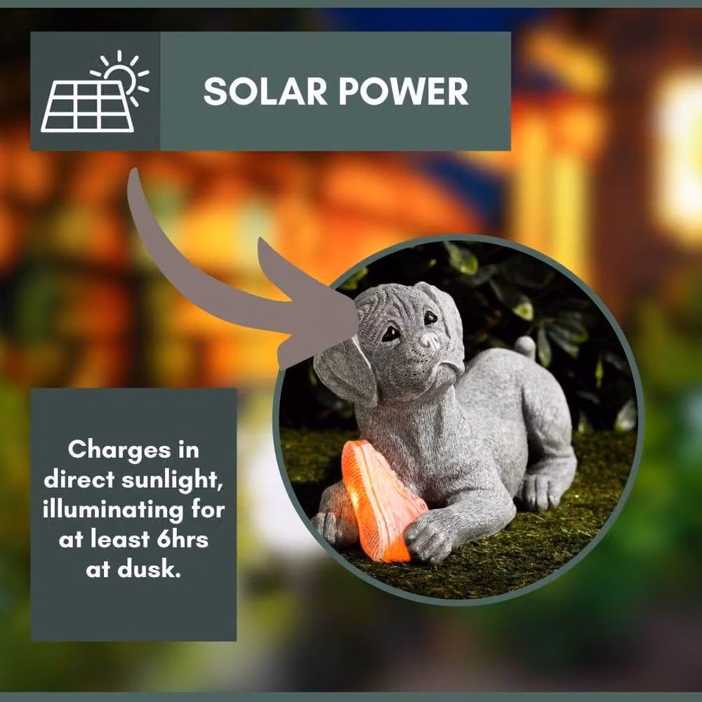 Marco Paul Solar Dog Garden Ornament in Grey – 4