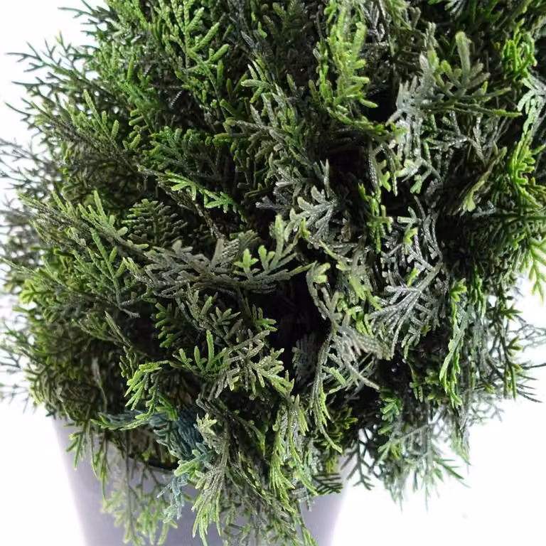Botanik Leaf Pair of Green Spiral Cedar Artificial Topiary Trees, Height: 120 cm