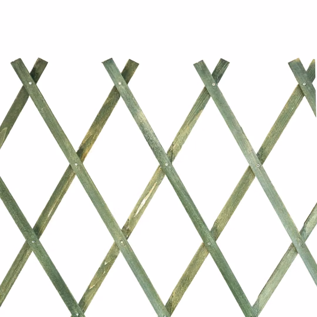 Marco Paul Heavy Duty Expanding Wooden Trellis in Green and Beige, H 180 cm x W 60 cm x D 60 cm – 2