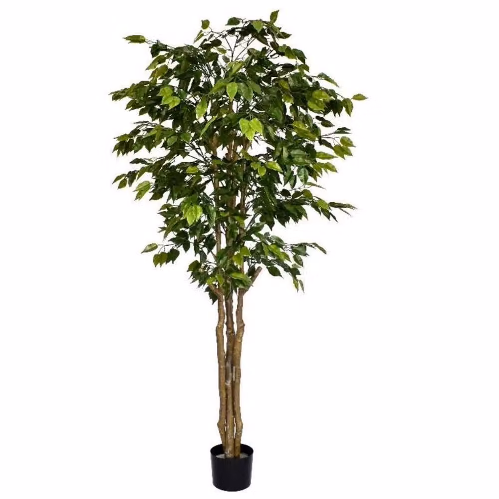 Leaf Deluxe Retusa Ficus Premium Artificial Tree, Green, Height: 180 cm – 2