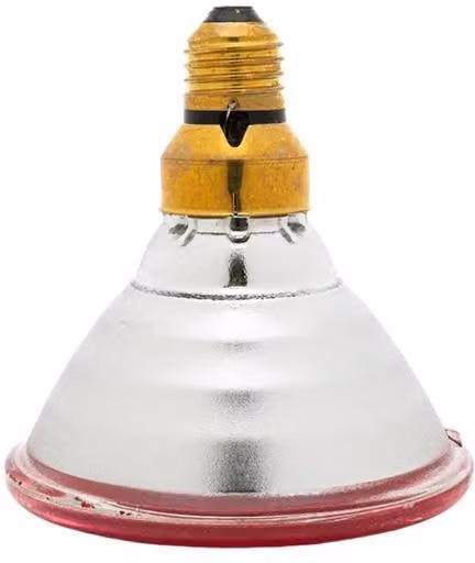 Curalux Red LED Infrared PAR 38 Reflector Bulb