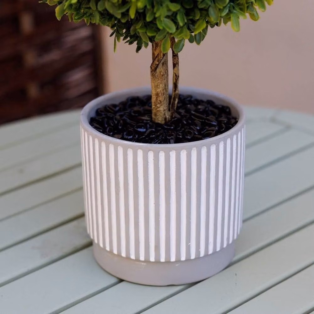 Primrose Artificial Tabletop Tree in Grey Decorative Cement Planter, Height: 51 cm – 2