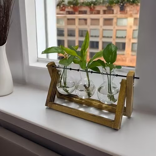 Menkind #Winning Triple Propagation Vases Set with Brown Wooden Stand and Metal Swivel Hydroponic Plant Terrarium – 4