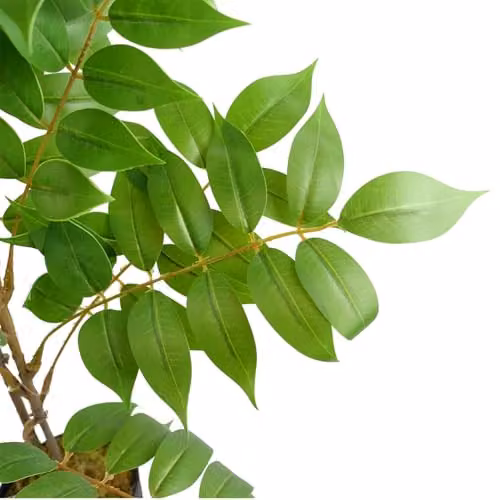Leaf Design UK Toona Sinensis Artificial Potted Tree, Green, H 110 cm x W 60 cm x D 60 cm – 4