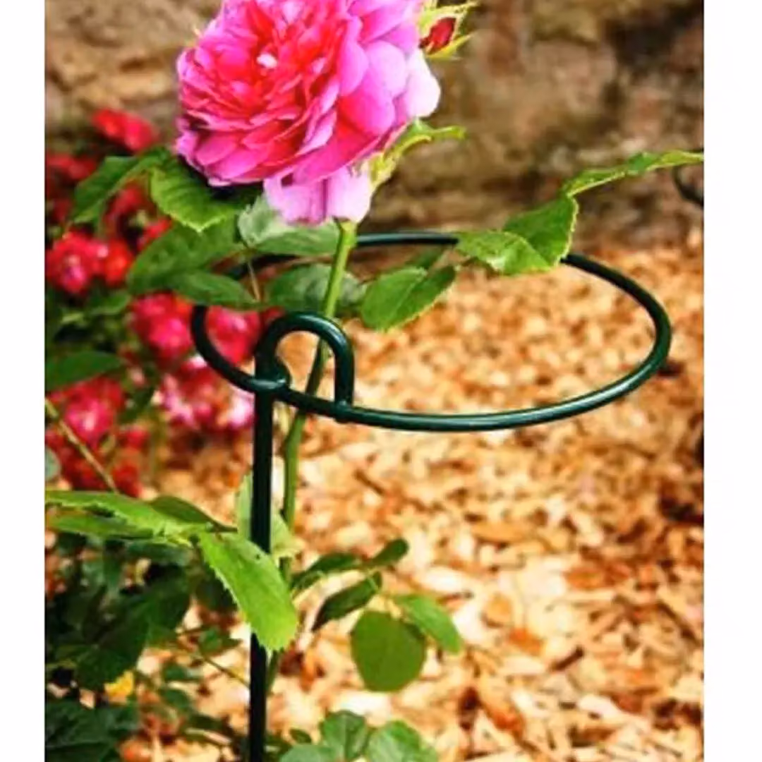 Poppyforge Steel Plant Support Stakes in Green, Pack of 4 – 2