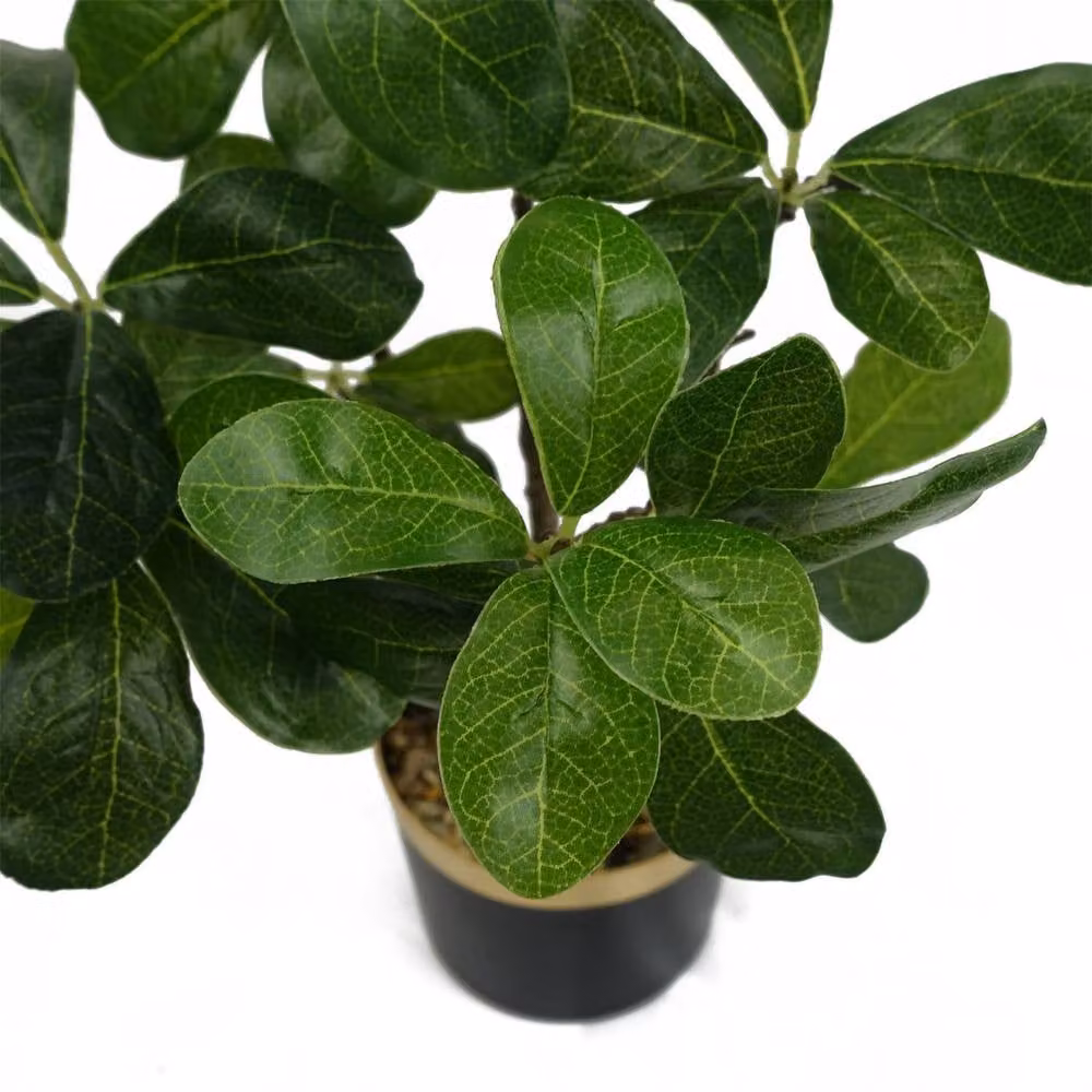 Botanik Artificial Bonsai Tree, Green, H 60 cm x W 30 cm x D 30 cm – 2