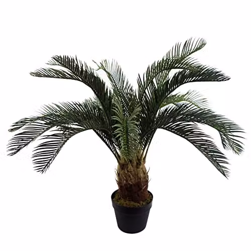 Leaf Design UK 80cm Artificial Tropical Cycas Palm Plant in Green and Black
