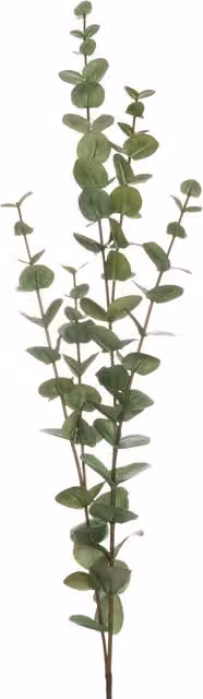 KDMK Large Cineraria Eucalyptus Botanical Spray in Green
