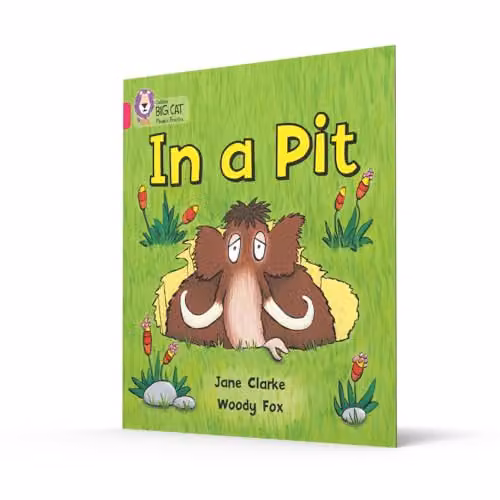 In a Pit: Band 01A/Pink A (Collins Big Cat Phonics) by HarperCollins – 2