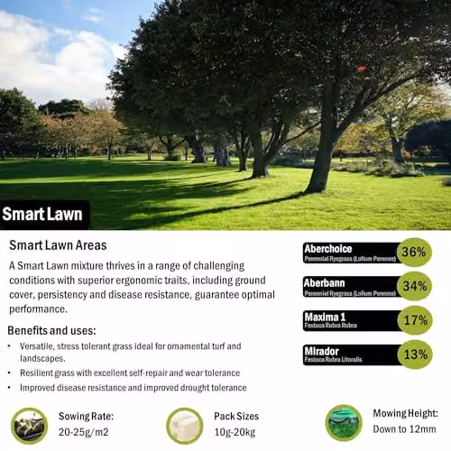 PDL Pegdev Smart Lawn Grass Seed, High-Yield and Resilient Green Seed for Gardens and Parks, 5kg – 1