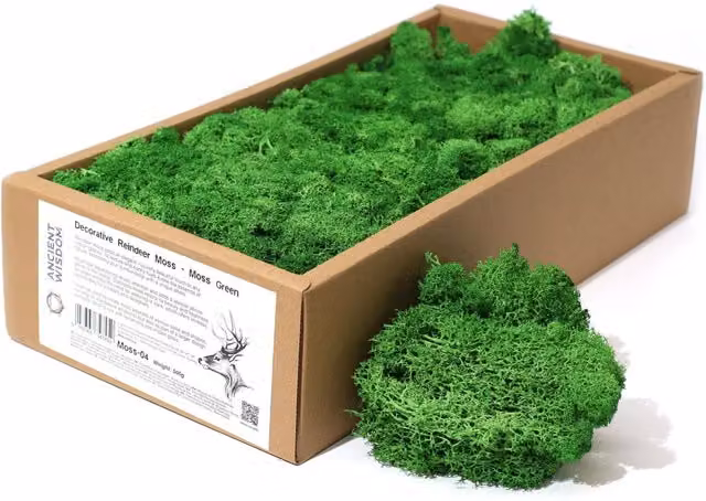 KDMK Decorative Reindeer Moss in Green