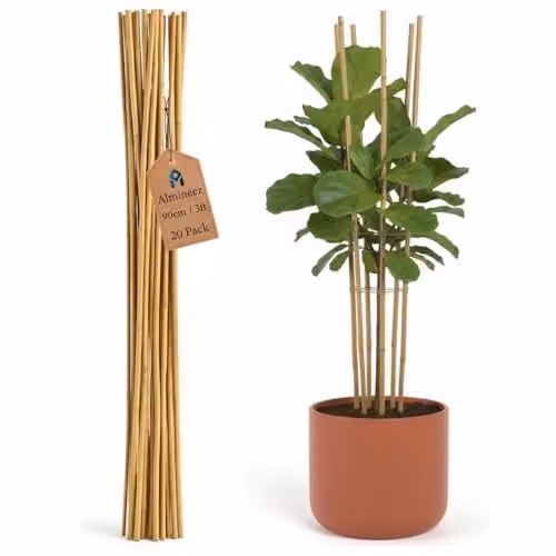 Almineez Natural Bamboo Plant Support Sticks, 20 Pack, Brown/Beige, Height: 90 cm