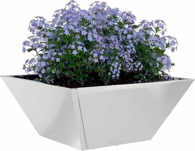 Berkfield Home Modern Garden Bowl Planter in Silver Galvanised Steel, W/D/H: 35 x 35 x 15 cm – 1