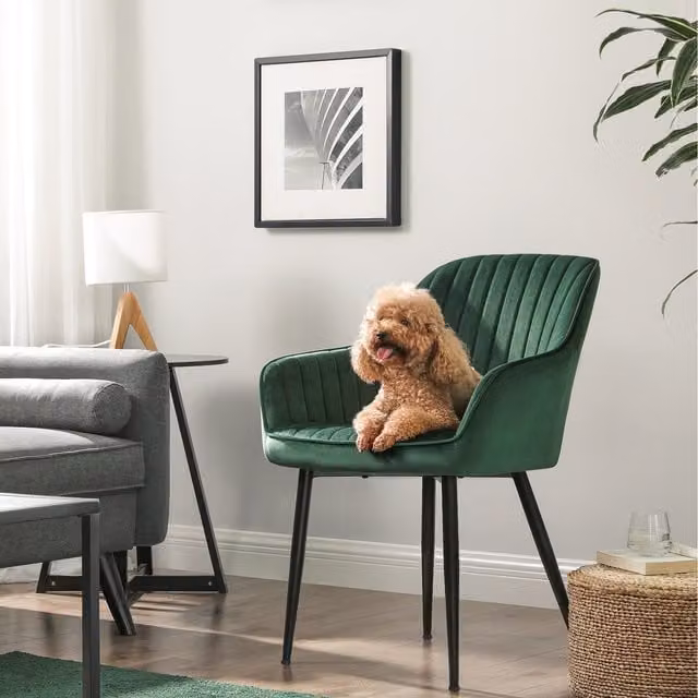 SONGMICS Green Velvet Upholstered Armchair Dining Chair with Armrests