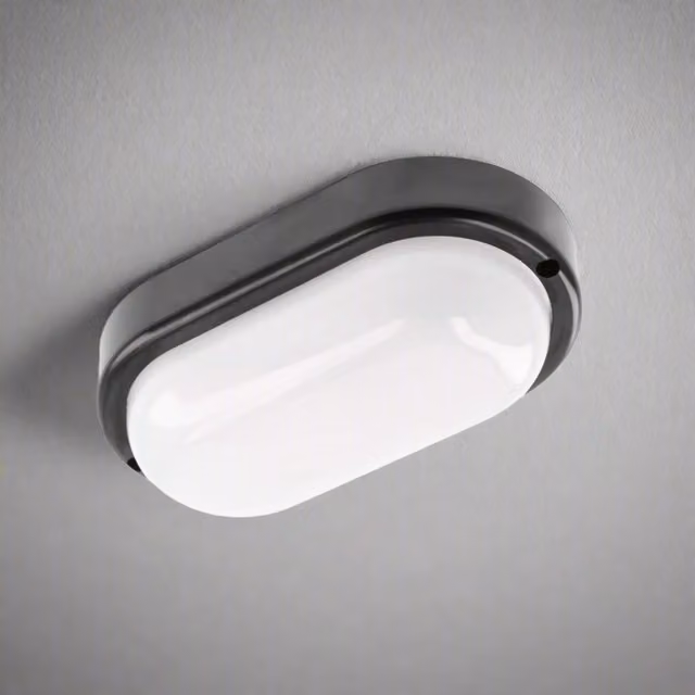 CGC KODO Black Round LED Surface Mount Ceiling and Wall Light