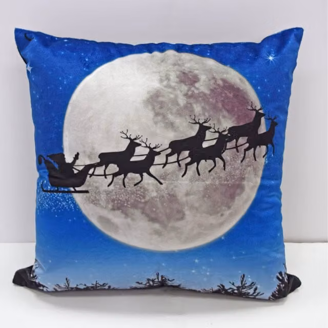 Rapport Home Flying Sleigh Velvet Cushion Cover, Multicolour, W/D/H: 43 x 43 x 1 cm