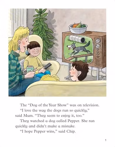 Oxford Reading Tree Level 9 Superdog Biff Chip and Kipper Stories New Edition 2011 by Oxford University Press – 2