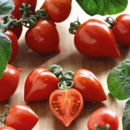 Thompson & Morgan Heartbreaker Vita F1 Red Tomato Seeds for Patio, Pot and Greenhouse Growing – 3