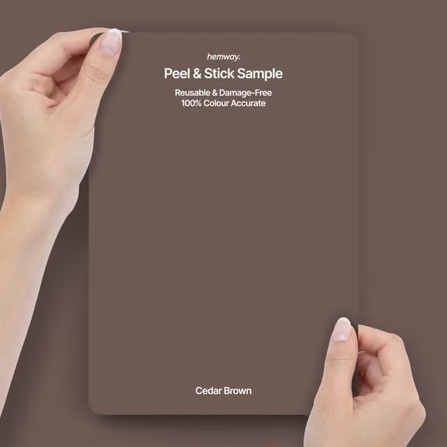 Hemway Interior Paint Sample Peel and Stick Swatch in Cedar Brown