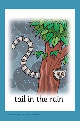 Collins Little Wandle at Home More Phonics Flashcards for Reception, Multicolour – 3
