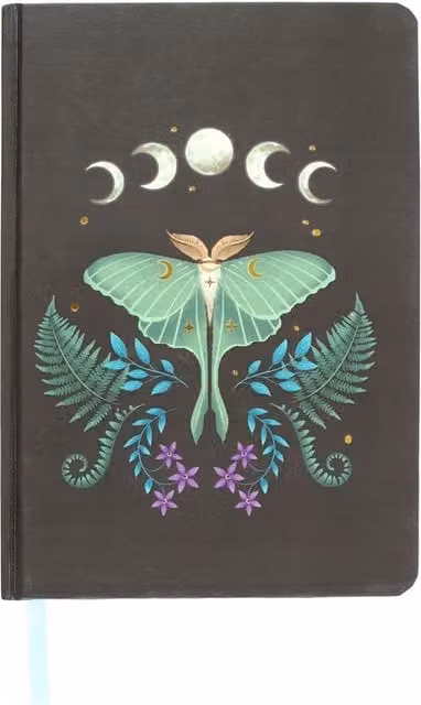 Kingsbury Gifts Luna Moth A5 Lined Hardcover Notebook in Black and Gold