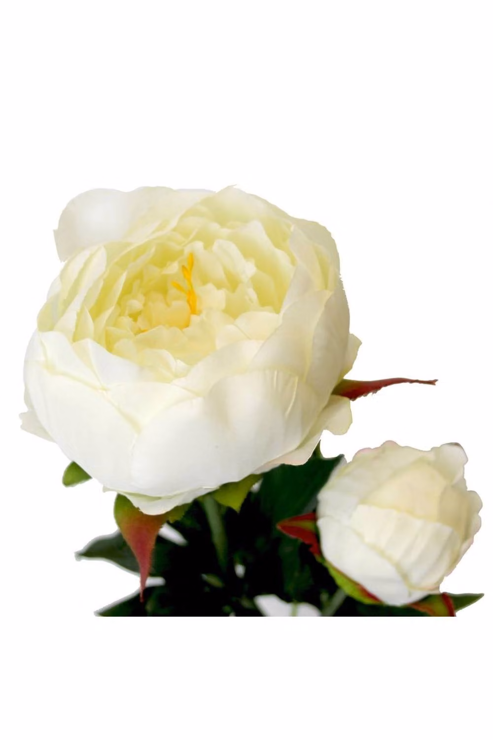 KDMD White Peony Artificial Flowers, Height: 78 cm – 2