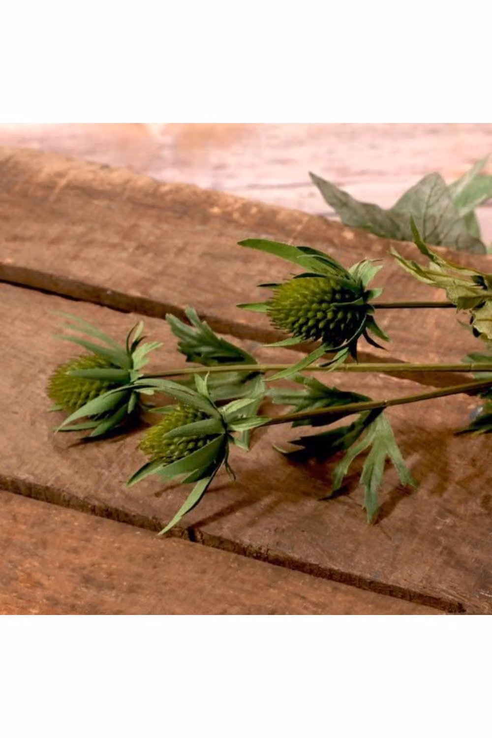 KDMD Green Thistle Spray, 2 Pack, Height: 66 cm – 2