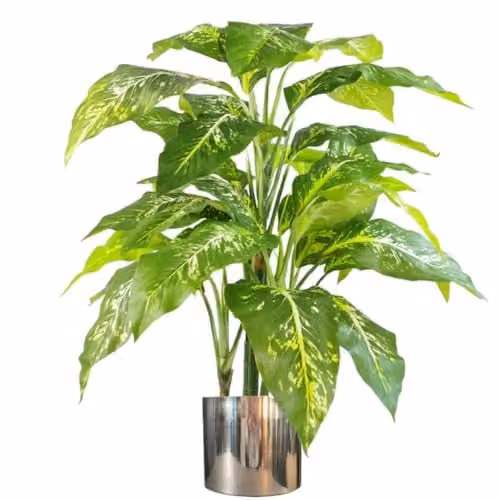 Leaf Design UK 100cm Large Fox's Aglaonema Spotted Evergreen Artificial Tree in Green and Silver