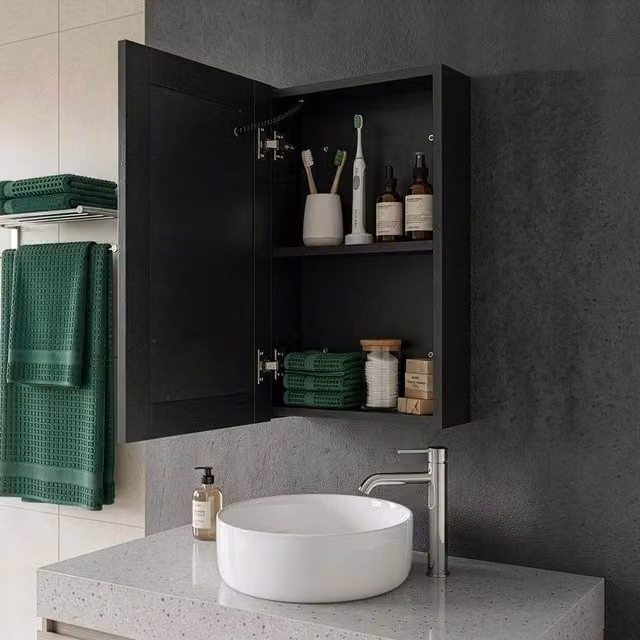 Wyld and Coco Modern Black Wall Mounted Mirror Cabinet with LED Lighting and Glass Doors, W/H: 40 x 60 cm