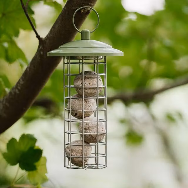 Peckish Canto Energy Ball Feeder in Green