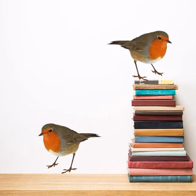 60 SECOND MAKEOVER Multicolour Robin Wall Stickers – 1