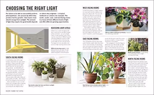 Grow Houseplants by Tamsin Westhorpe, DK Paperback Book, Multicolour – 3