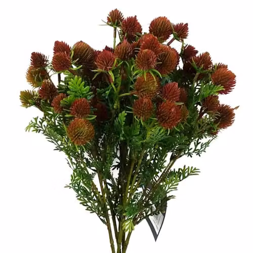 Leaf Red Craspedia Artificial Floral Stems, Pack of 6, Height: 55 cm