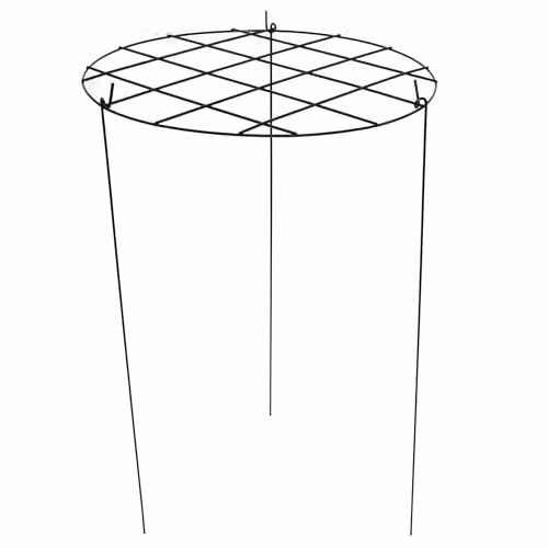 Garden Gear Black Metal Round Grow Through Grid Plant Support, Height: 50 cm (Pack of 3) – 1