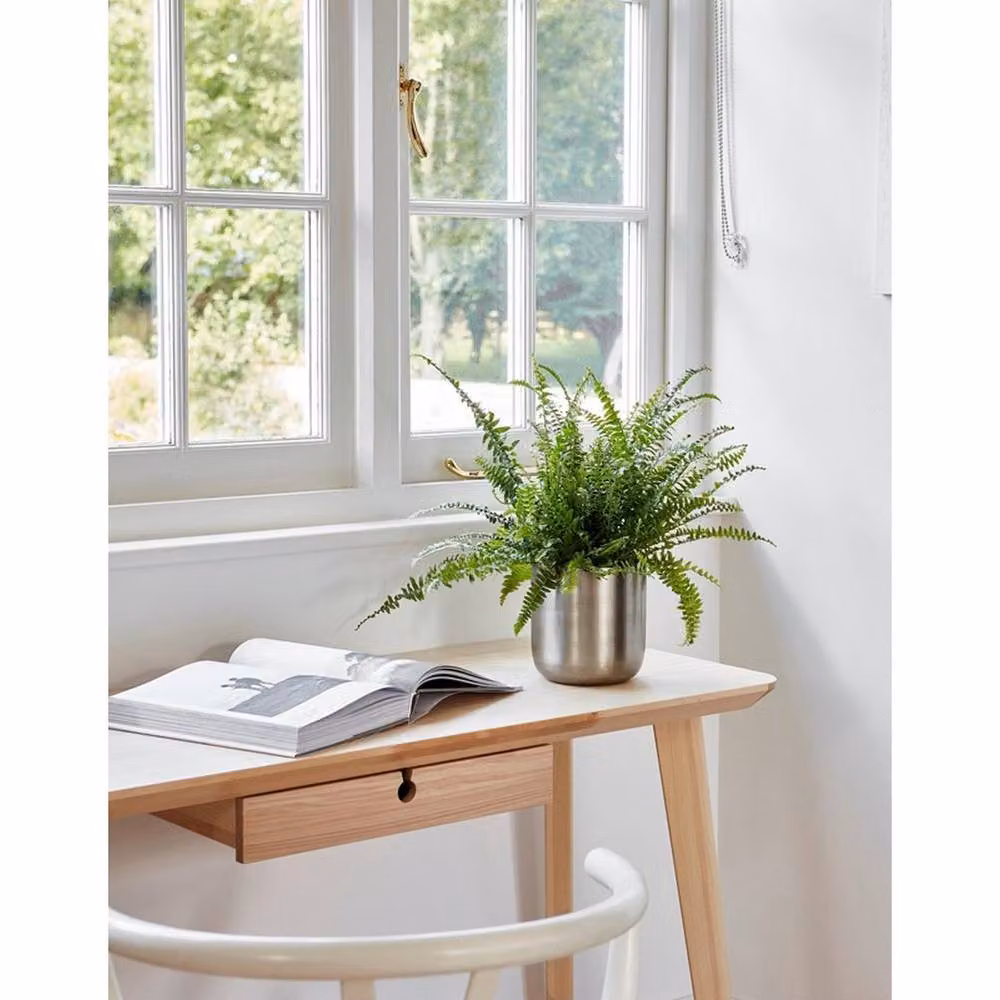 Lemon Pavilion Chelsea Indoor Planter in Grey Mild Steel, W: 28 cm, D: 28 cm, H: 28 cm – 2