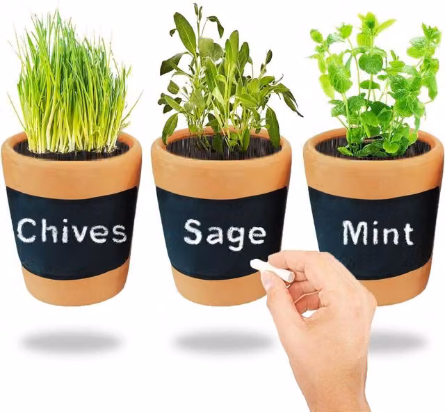 Simpa Set of 3 Brown Terracotta Clay Herb Planter Pots with Mini Chalkboards